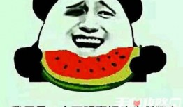 娱乐圈吃瓜的梗有哪些图片,揭秘明星幕后那些事儿