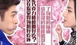 傲娇与偏见在线观看完整版,浪漫喜剧的甜蜜邂逅